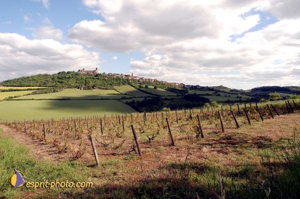 Nom de l'image : D1139563-01 — Description :