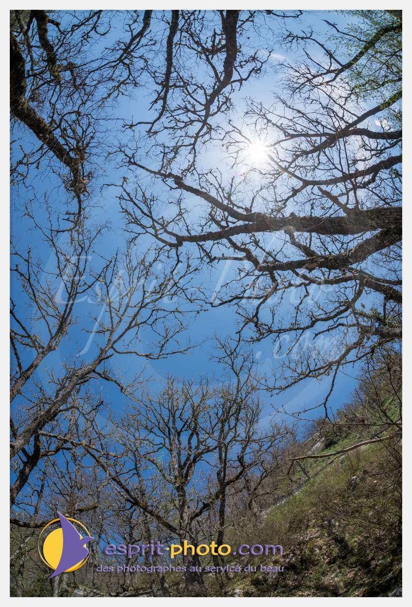 Nom de l'image : D8e021300_(c)esprit-photo.com — Description :