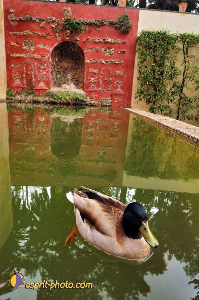 Nom de l'image : D1219437-1 — Description :  Pâques 2005 à Seville (Espagne-Andalusie)