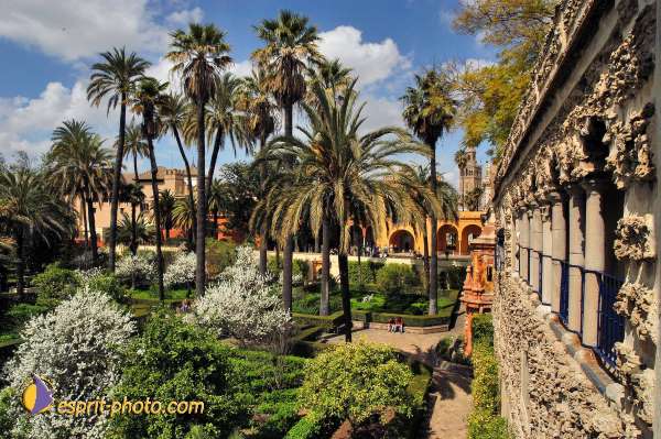 Nom de l'image : D1219860-1 — Description :  Pâques 2005 à Seville (Espagne-Andalusie)