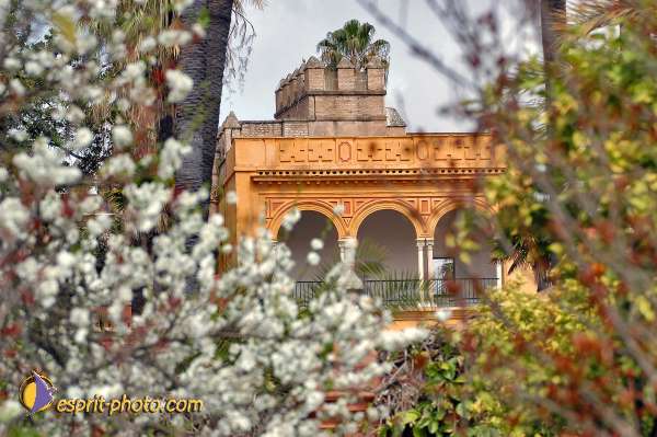 Nom de l'image : E00035065-1 — Description :  Pâques 2005 à Seville (Espagne-Andalusie)