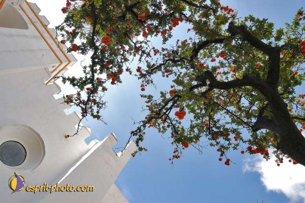 Nom de l'image : E00035142-1 — Description :  Pâques 2005 à Seville (Espagne-Andalusie)
