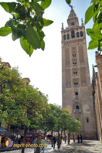 Nom de l'image : D1217818-1 — Description :  Pâques 2005 à Seville (Espagne-Andalusie)