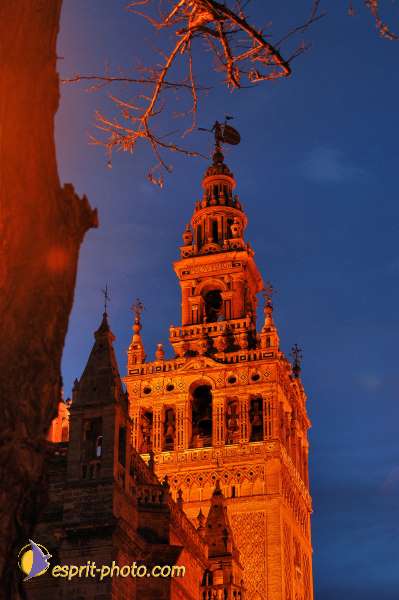 Nom de l'image : D1218849-1 — Description :  Pâques 2005 à Seville (Espagne-Andalusie)