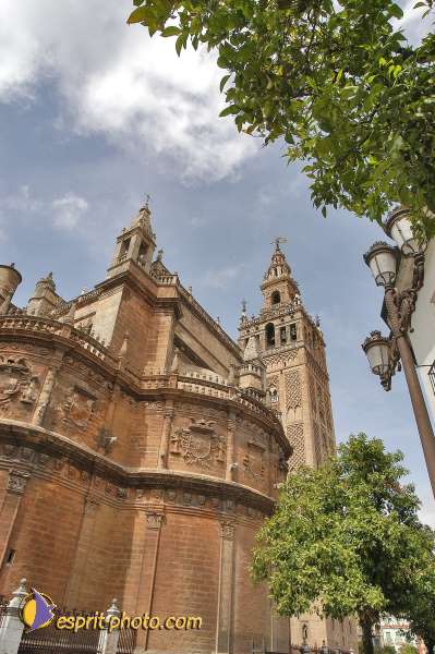 Nom de l'image : E00032572-1 — Description :  Pâques 2005 à Seville (Espagne-Andalusie)