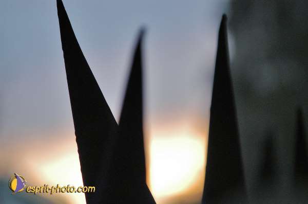 Nom de l'image : E00034304-1 — Description :  Pâques 2005 à Seville (Espagne-Andalusie)