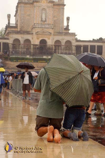 Nom de l'image : D1160435-01 — Description :