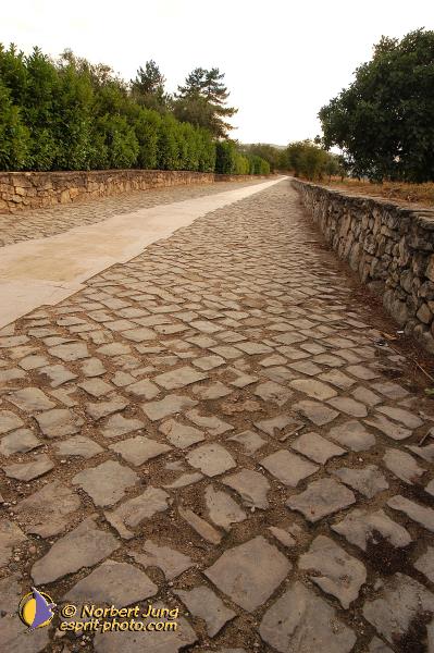 Nom de l'image : D1160736-01 — Description :