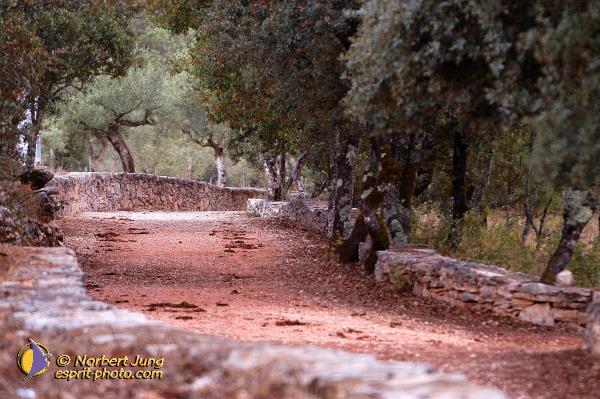 Nom de l'image : D1160783-01 — Description :