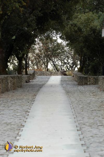 Nom de l'image : D1160793-01 — Description :