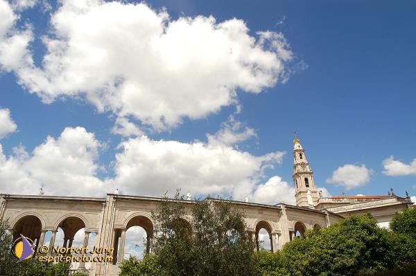 Nom de l'image : D1161549-01 — Description :