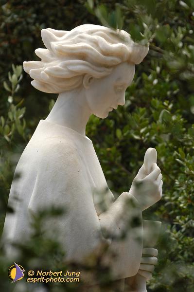 Nom de l'image : D1161627-01 — Description :