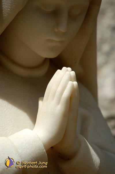 Nom de l'image : D1161654-01 — Description :