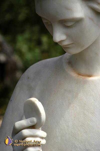 Nom de l'image : D1161670-01 — Description :