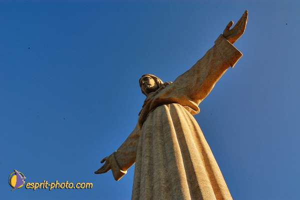 Nom de l'image : D1206314-1 — Description :