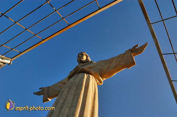 Nom de l'image : D1206315-1 — Description :