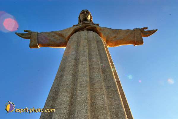 Nom de l'image : D1206319-1 — Description :