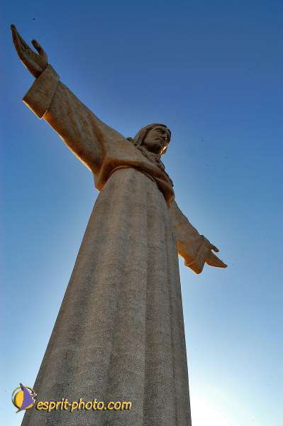 Nom de l'image : D1206322-1 — Description :