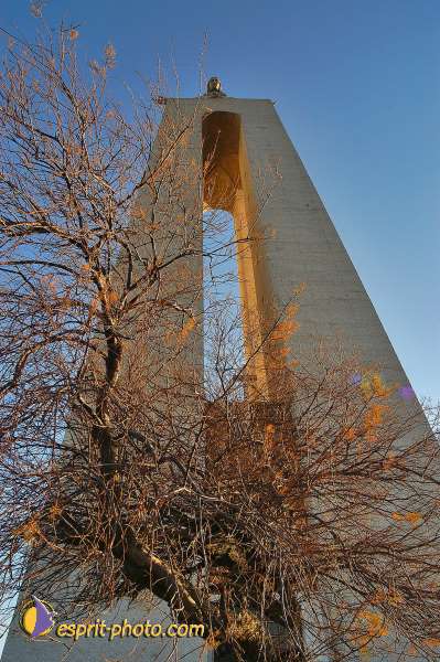 Nom de l'image : D1206337-1 — Description :