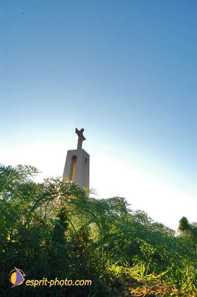 Nom de l'image : D1206377-1 — Description :