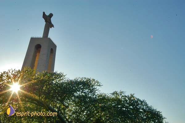 Nom de l'image : D1206388-1 — Description :