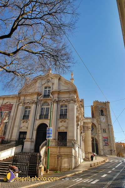 Nom de l'image : D1205983-1 — Description :