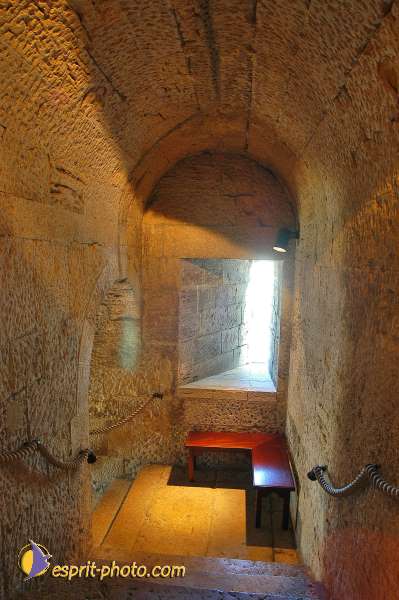 Nom de l'image : D1205965-1 — Description :