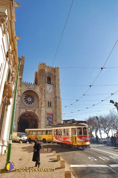 Nom de l'image : D1206071-1 — Description :