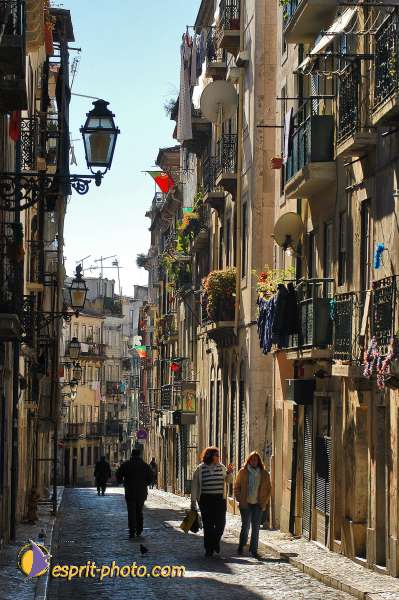 Nom de l'image : D1205100-1 — Description :  Mothersprayer - Portugal - construction of a new center
