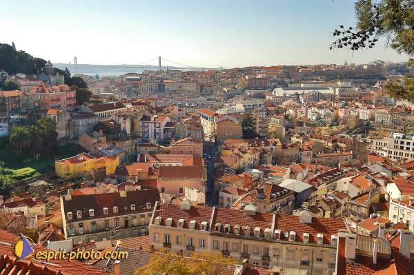 Nom de l'image : D1206085-1 — Description :