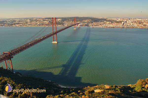 Nom de l'image : D1206271-1 — Description :