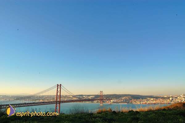 Nom de l'image : D1206392-1 — Description :