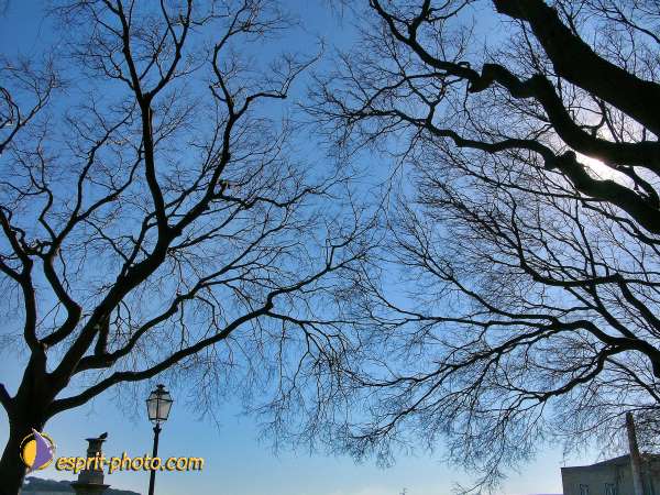 Nom de l'image : L1030951-1 — Description :  Mothersprayer - Portugal - construction of a new center