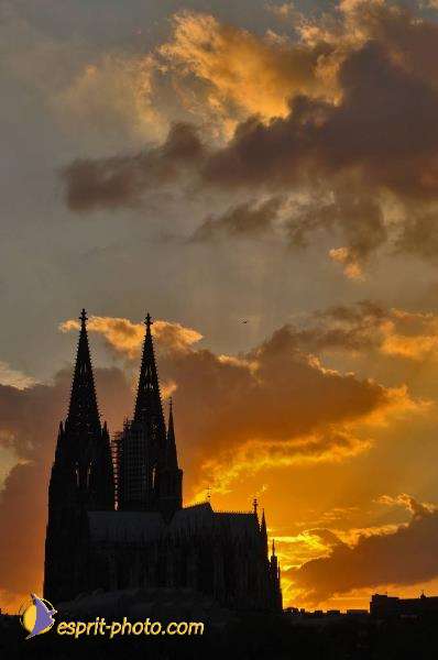 Nom de l'image : D2035576-1 — Description :