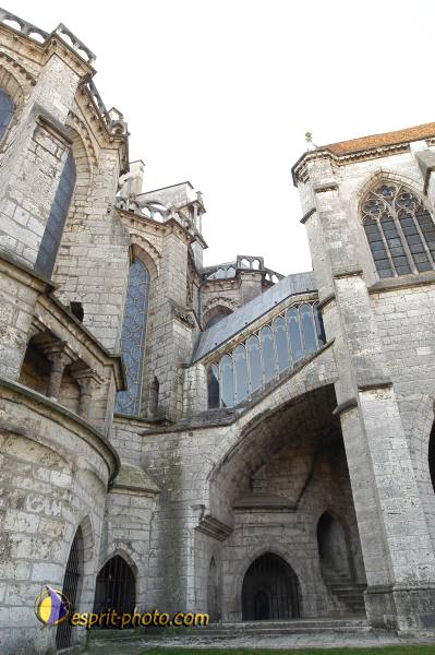 Nom de l'image : D1023123-01 — Description :