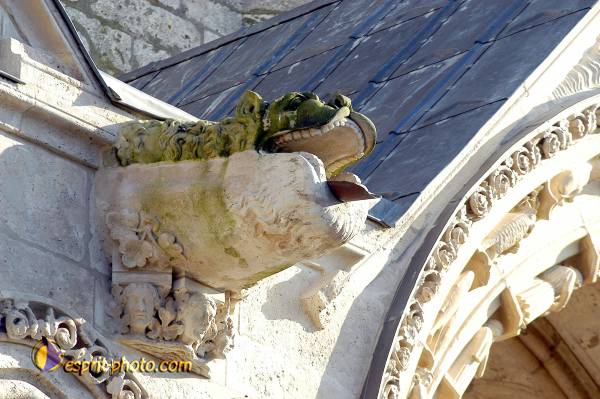 Nom de l'image : D1023185-01b — Description :  Pèlerinage de Chartres 2003