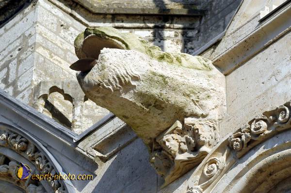 Nom de l'image : D1023194-01b — Description :  Pèlerinage de Chartres 2003