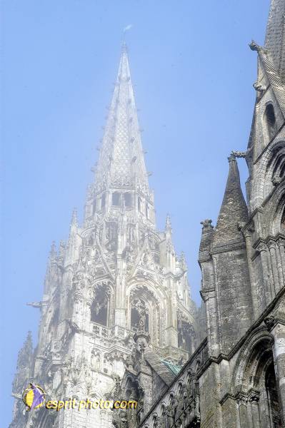 Nom de l'image : D1107482-nef-01 — Description :