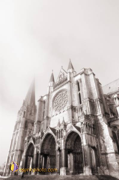 Nom de l'image : D1107496-nef-01sep — Description :