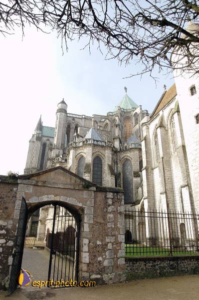 Nom de l'image : D1107501-nef-01 — Description :