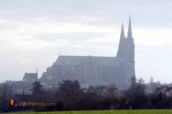 Nom de l'image : D1107572-nef-01 — Description :