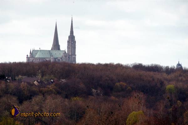 Nom de l'image : D1120179-01 — Description :