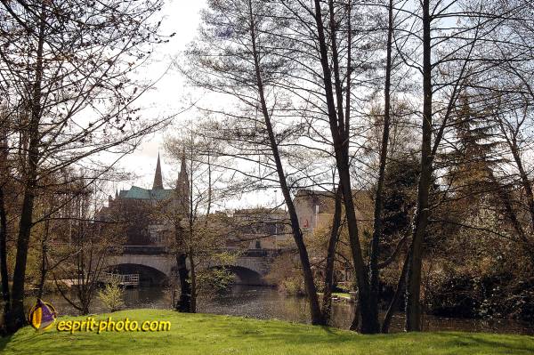 Nom de l'image : D1120534-nef-01 — Description :