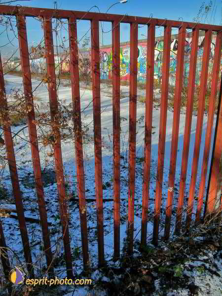 Nom de l'image : L1010766-1 — Description :  Berlin avec Arnold