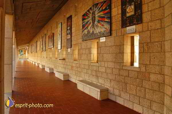 Nom de l'image : D1197463-1 — Description : Voyage en Terre Sainte avec Jeunesse Lumière