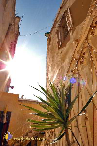 Nom de l'image : E00021874-1 — Description :