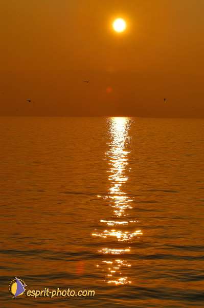 Nom de l'image : D1198132-1 — Description :  Voyage en Terre Sainte avec Jeunesse Lumière