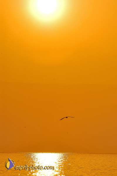 Nom de l'image : D1198142-1 — Description :  Voyage en Terre Sainte avec Jeunesse Lumière