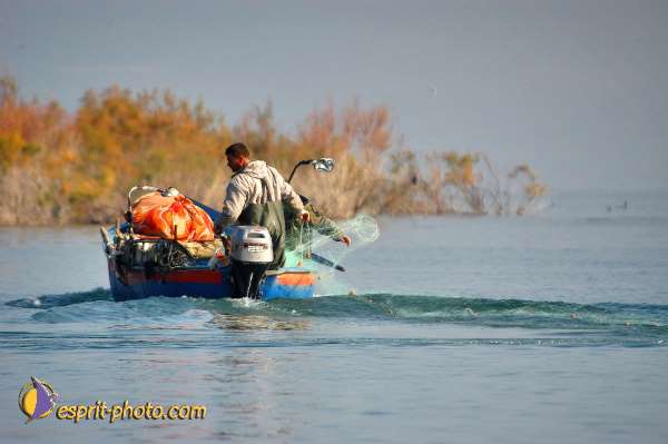 Nom de l'image : D1199001-1 — Description :  Voyage en Terre Sainte avec Jeunesse Lumière
