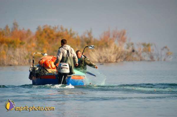 Nom de l'image : D1199002-1 — Description :  Voyage en Terre Sainte avec Jeunesse Lumière